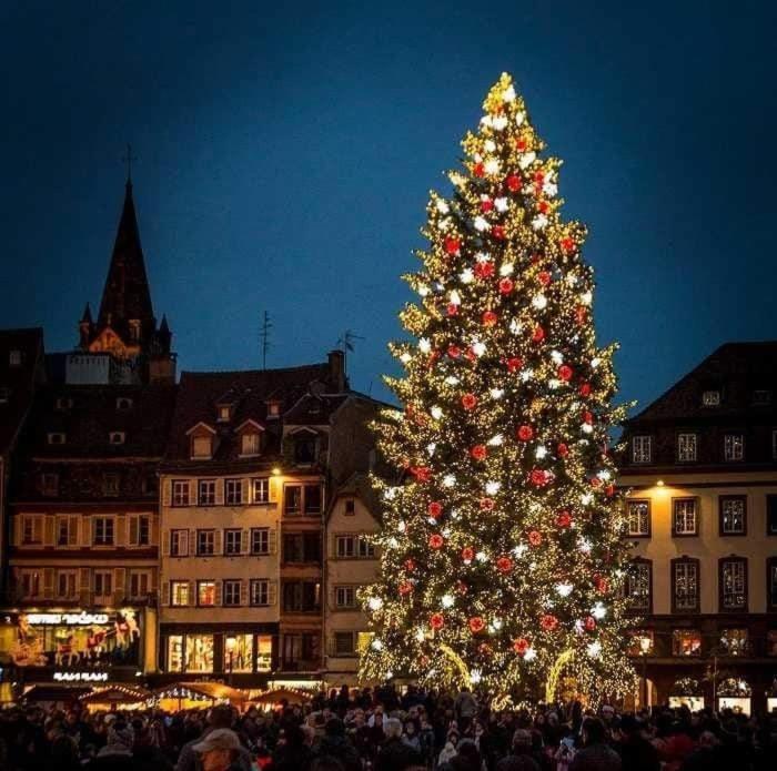 Gites Spa Strasbourg - La Villa 14 Furdenheim Luaran gambar